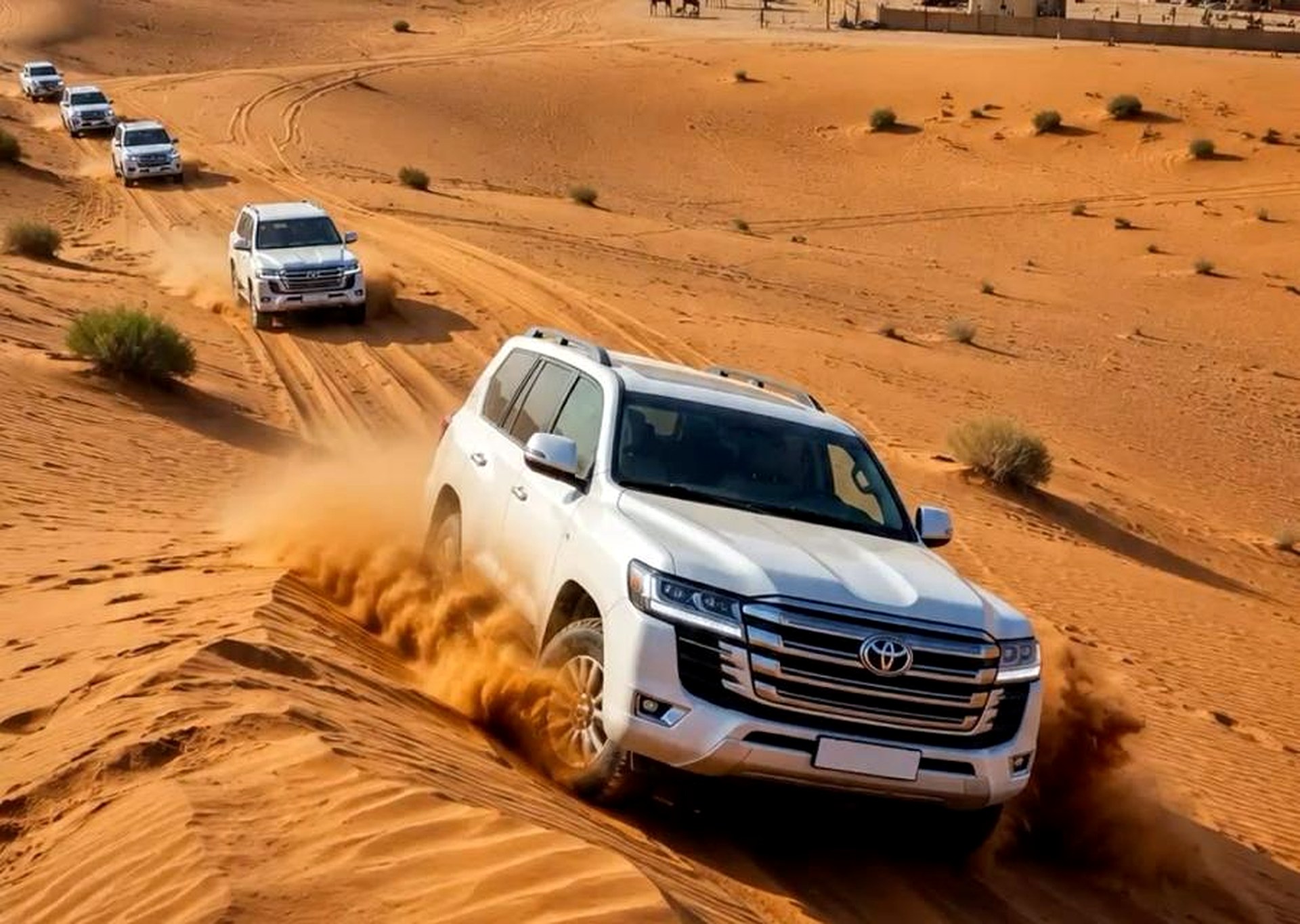 Desert Safari